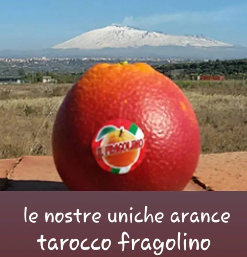 Cassetta da (15+1)kg di arance fragolino .)