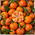 Clementine e mandarini siciliani con rametti e foglie, uno sbucciato mostra gli spicchi