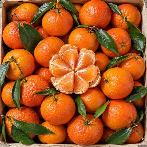 Clementine e mandarini siciliani con rametti e foglie, uno sbucciato mostra gli spicchi