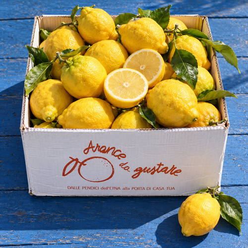 Cassetta Arancedagustare piena di limoni con foglie, su un tavolo di legno blu al sole